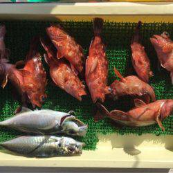 Ｖ−７ West 釣果