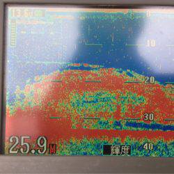 第二 海洋丸 釣果