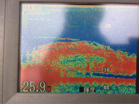 第二 海洋丸 釣果