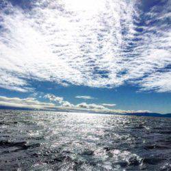 第二 海洋丸 釣果