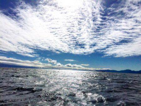 第二 海洋丸 釣果