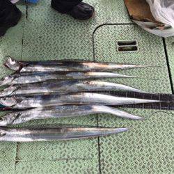 ヤザワ渡船 釣果