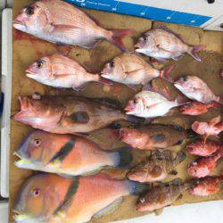 末広丸(熊本) 釣果