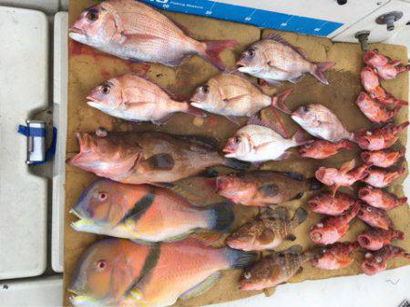 末広丸(熊本) 釣果