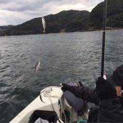 「LaGooN」蒼陽丸 日和号 釣果