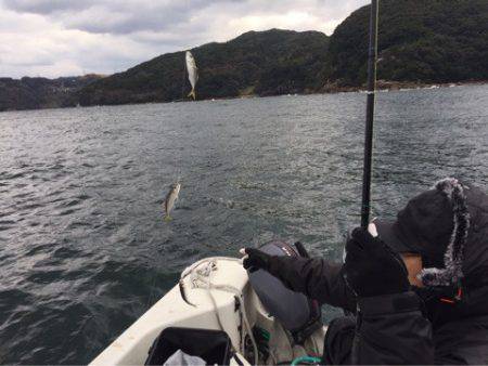 「LaGooN」蒼陽丸 日和号 釣果