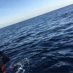 ＴＡＲＯＭＡＲＵ 釣果