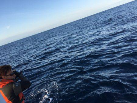 ＴＡＲＯＭＡＲＵ 釣果