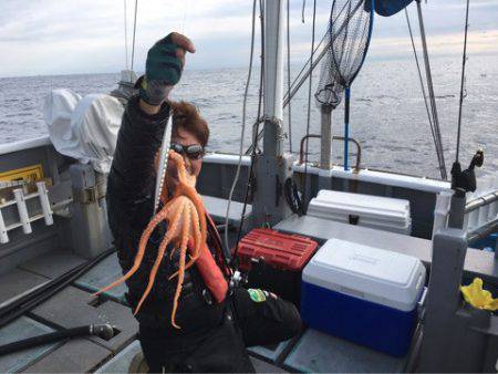 ＴＡＲＯＭＡＲＵ 釣果