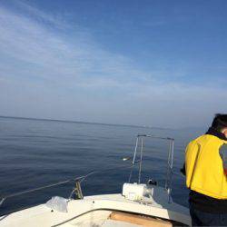 末広丸(熊本) 釣果