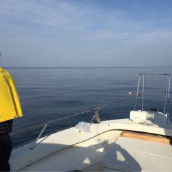 末広丸(熊本) 釣果