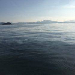 末広丸(熊本) 釣果