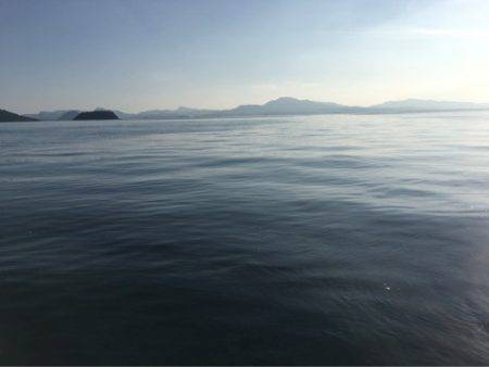 末広丸(熊本) 釣果