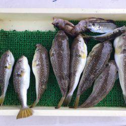 Ｖ−７ West 釣果