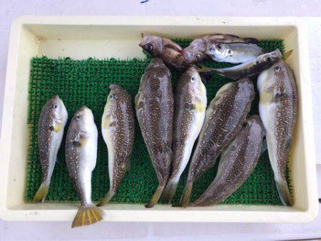 Ｖ−７ West 釣果