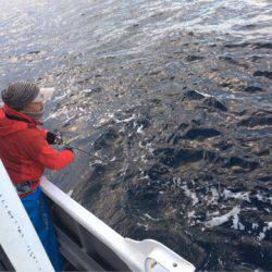 ＴＡＲＯＭＡＲＵ 釣果