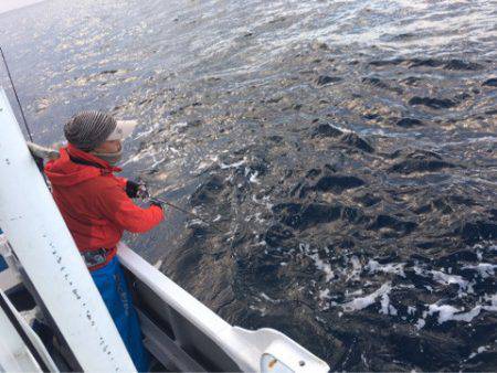 ＴＡＲＯＭＡＲＵ 釣果