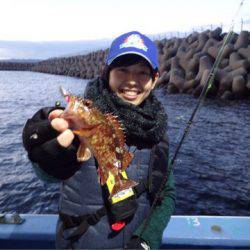 ヤザワ渡船 釣果