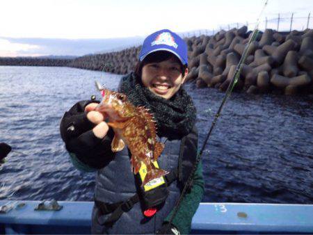 ヤザワ渡船 釣果