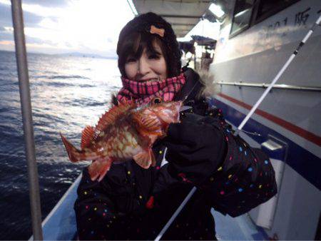 ヤザワ渡船 釣果