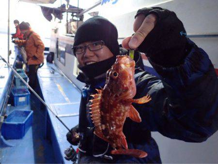 ヤザワ渡船 釣果