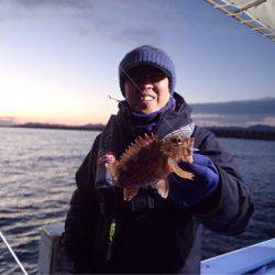 ヤザワ渡船 釣果