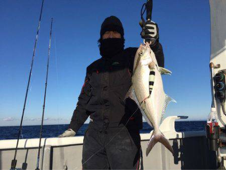 ＴＡＲＯＭＡＲＵ 釣果