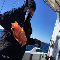 ＴＡＲＯＭＡＲＵ 釣果