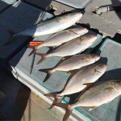 ＴＡＲＯＭＡＲＵ 釣果