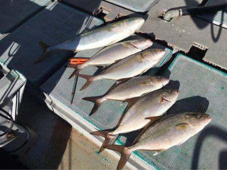 ＴＡＲＯＭＡＲＵ 釣果