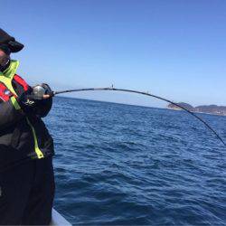「LaGooN」蒼陽丸 日和号 釣果