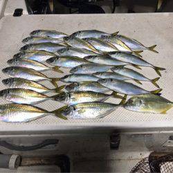 Monster Rush! 釣果