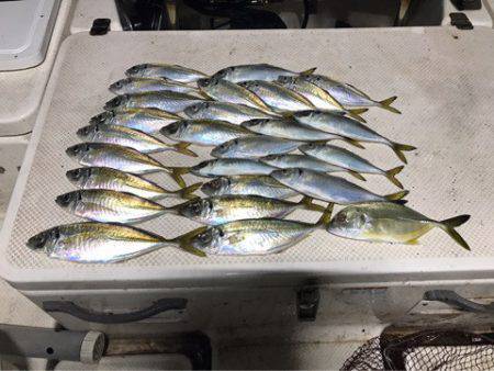 Monster Rush! 釣果