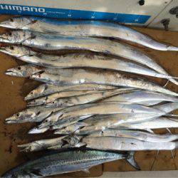 末広丸(熊本) 釣果