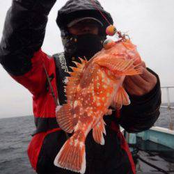 渡船屋たにぐち 釣果