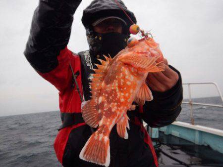 渡船屋たにぐち 釣果