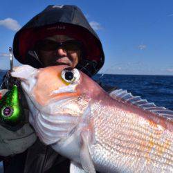 渡船屋たにぐち 釣果