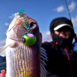 渡船屋たにぐち 釣果