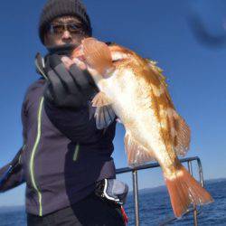 渡船屋たにぐち 釣果