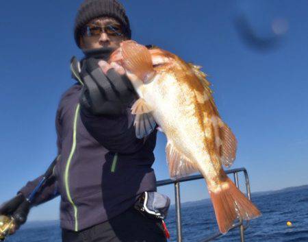 渡船屋たにぐち 釣果