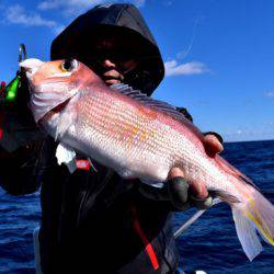 渡船屋たにぐち 釣果