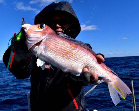 渡船屋たにぐち 釣果