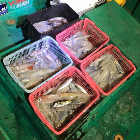 渡船屋たにぐち 釣果