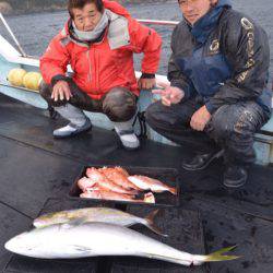 渡船屋たにぐち 釣果