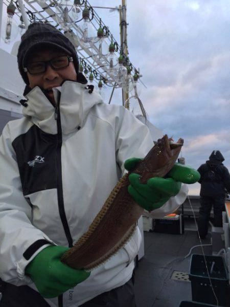シーランチ 釣果