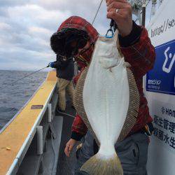 シーランチ 釣果