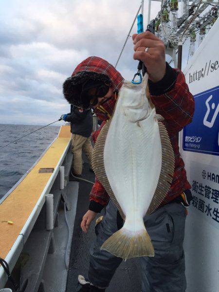 シーランチ 釣果