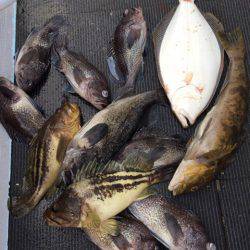 シーランチ 釣果