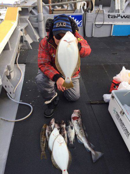 シーランチ 釣果