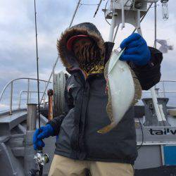 シーランチ 釣果